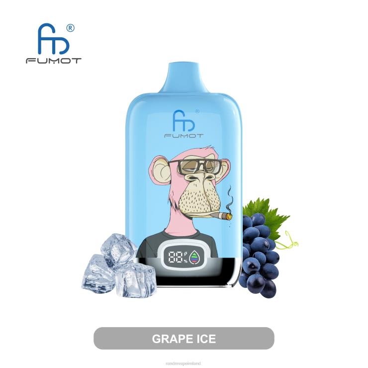RandM Vape Dublin | Fumot Original RandM Digital Box Z2XZX3 12000 Battery And Liquid Display Vape Device Grape Ice