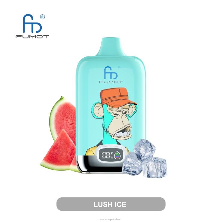 RandM Vape Flavours | Fumot Original RandM Digital Box Z2XZX4 12000 Battery And Liquid Display Vape Device Blueberry Raspberry