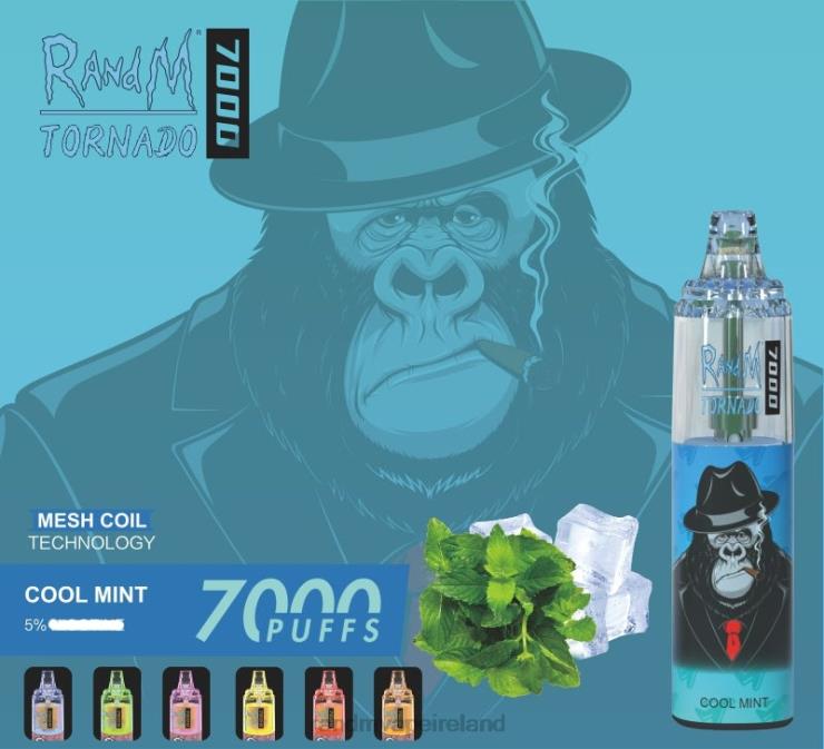 RandM Vape Flavours | RandM Tornado Z2XZX164 7000 Airflow Control Vape Device 1Pc Cool Mint
