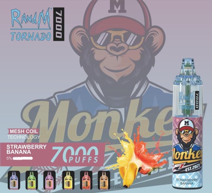 RandM Vape Flavours | RandM Tornado Z2XZX164 7000 Airflow Control Vape Device 1Pc Cool Mint