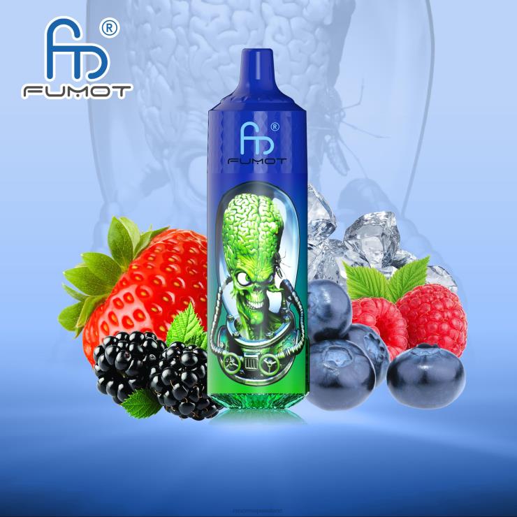 RandM Ireland | Fumot RandM Tornado Z2XZX192 9000 Pro Vape Device With Battery And Ejuice Display Version 1 Mixed Berries